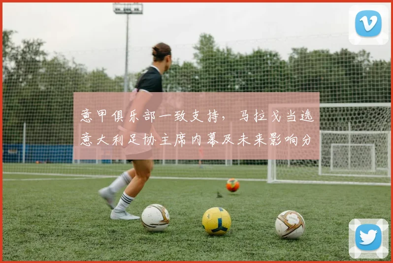 意甲俱乐部一致支持,马拉戈当选意大利足协主席内幕及未来影响分析