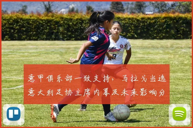 意甲俱乐部一致支持，马拉戈当选意大利足协主席内幕及未来影响分析
